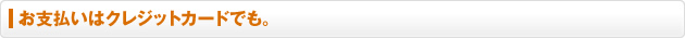 お支払いはクレジットカードでも。